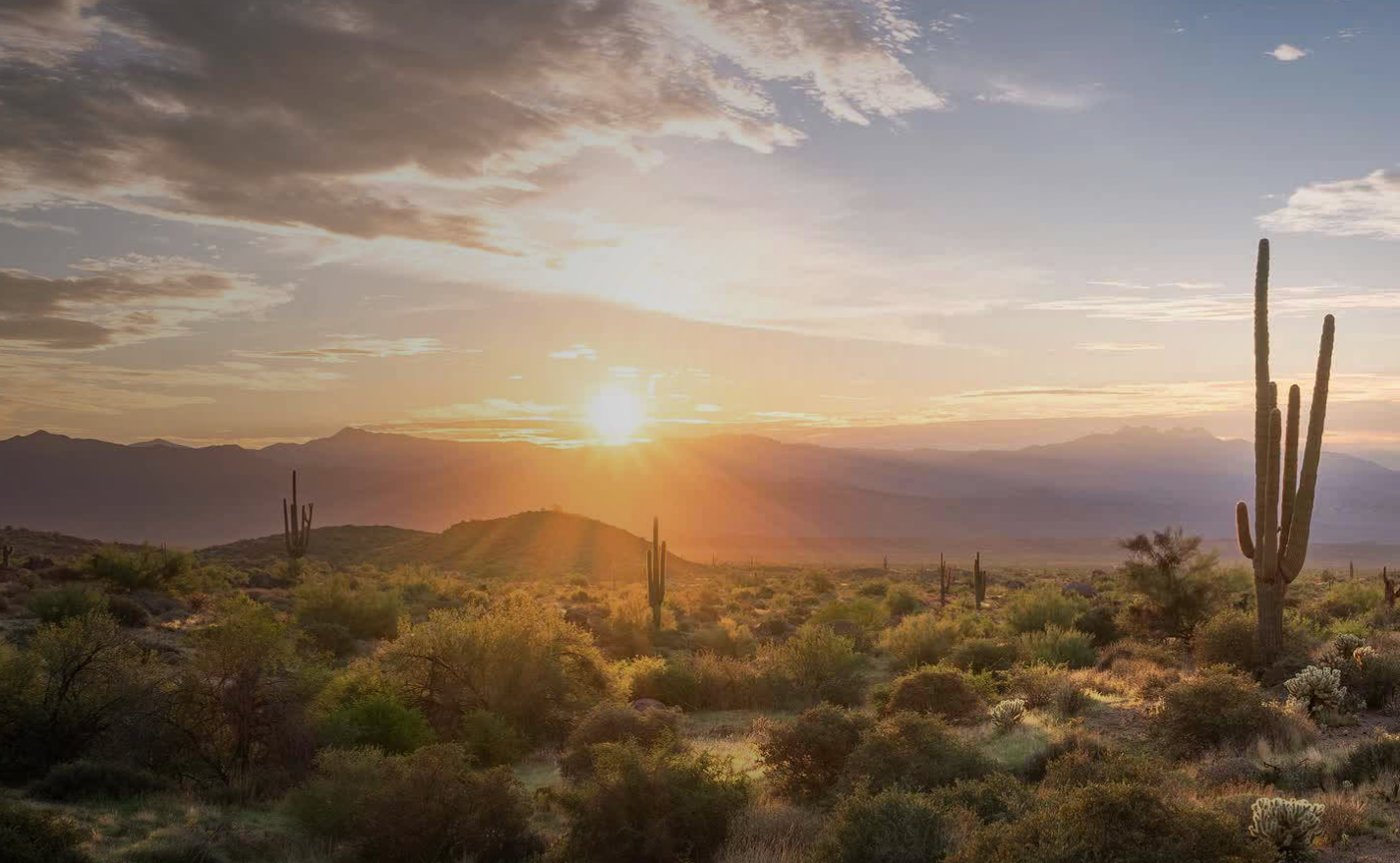 a picture or a content related to the section